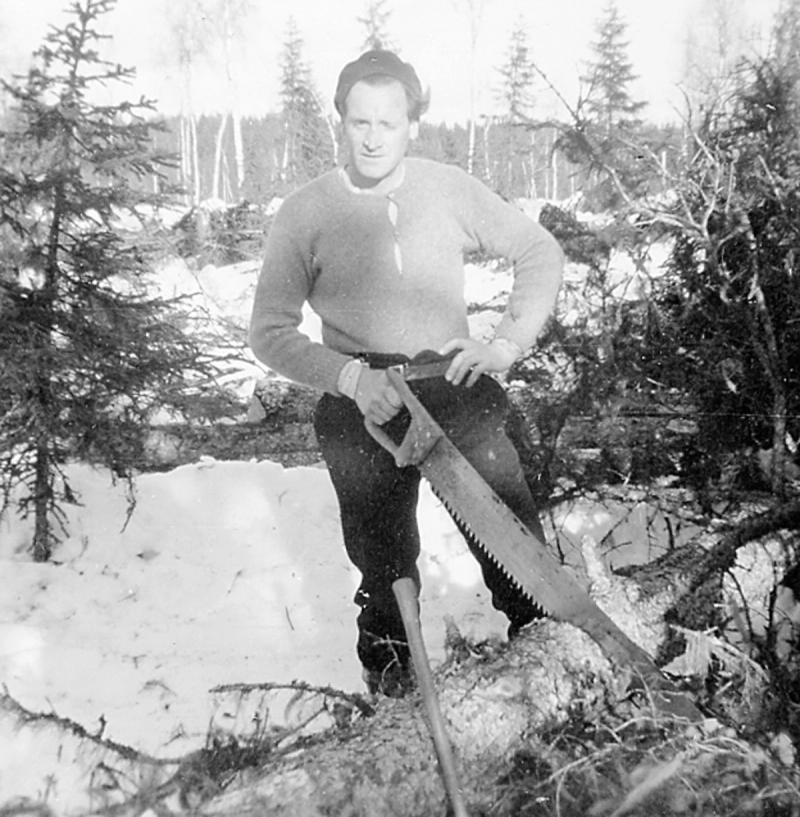 Wille, äldre än 12 år, kanske 16?