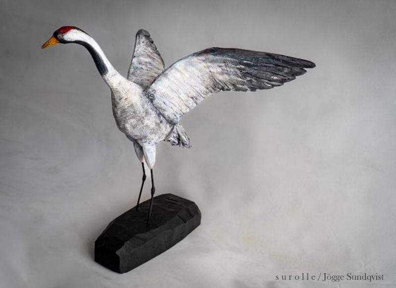 Sara-tranan #8. Krokvuxen björk, lind, furu.