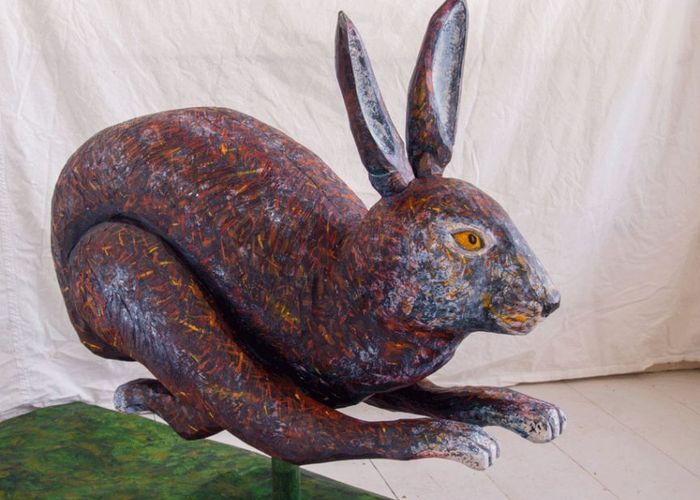 Harsprånget Barnhjärtmottagningen Umeå Universitetssjukhus.