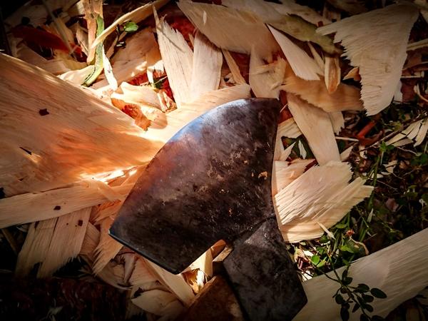 The workmanship of risk