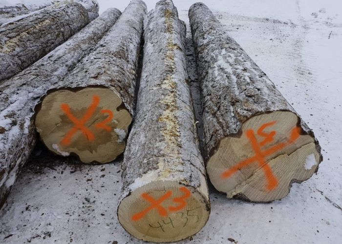 Slöjdporten ”Berättaren” i Sunne