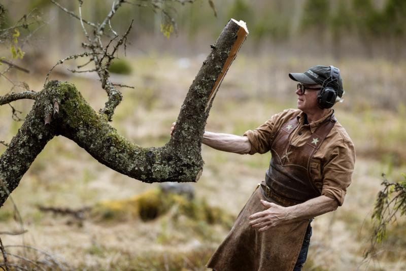 Det krokvuxna granämnet synas från sidan. Foto Peter Hoelstad