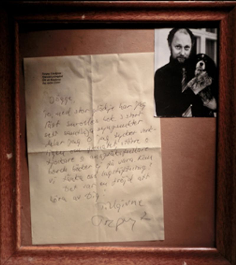 Brevet från Torgny om surolles bok