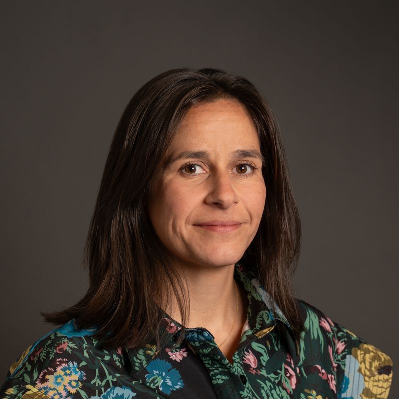 Christine A. Roddy