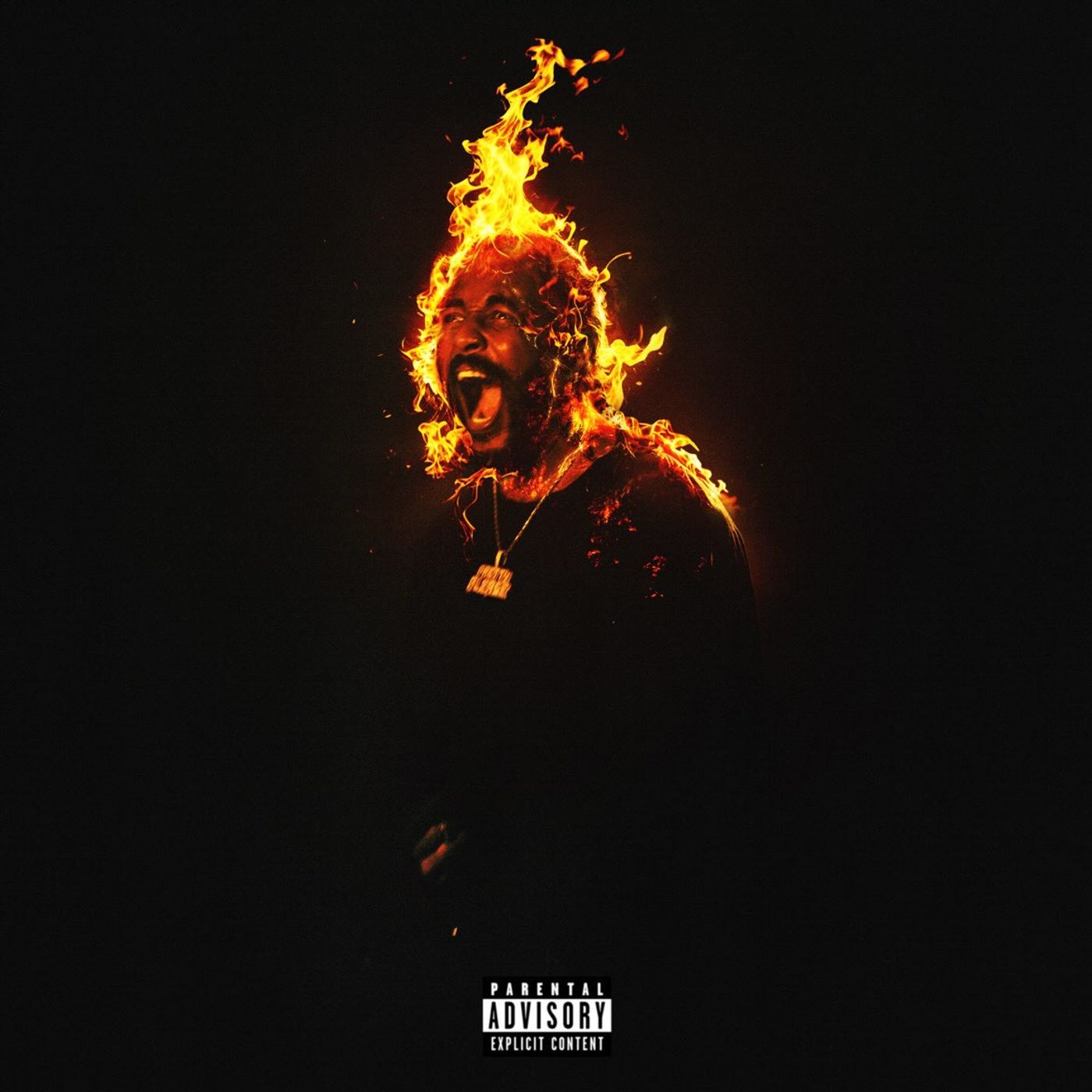 In The Fire 