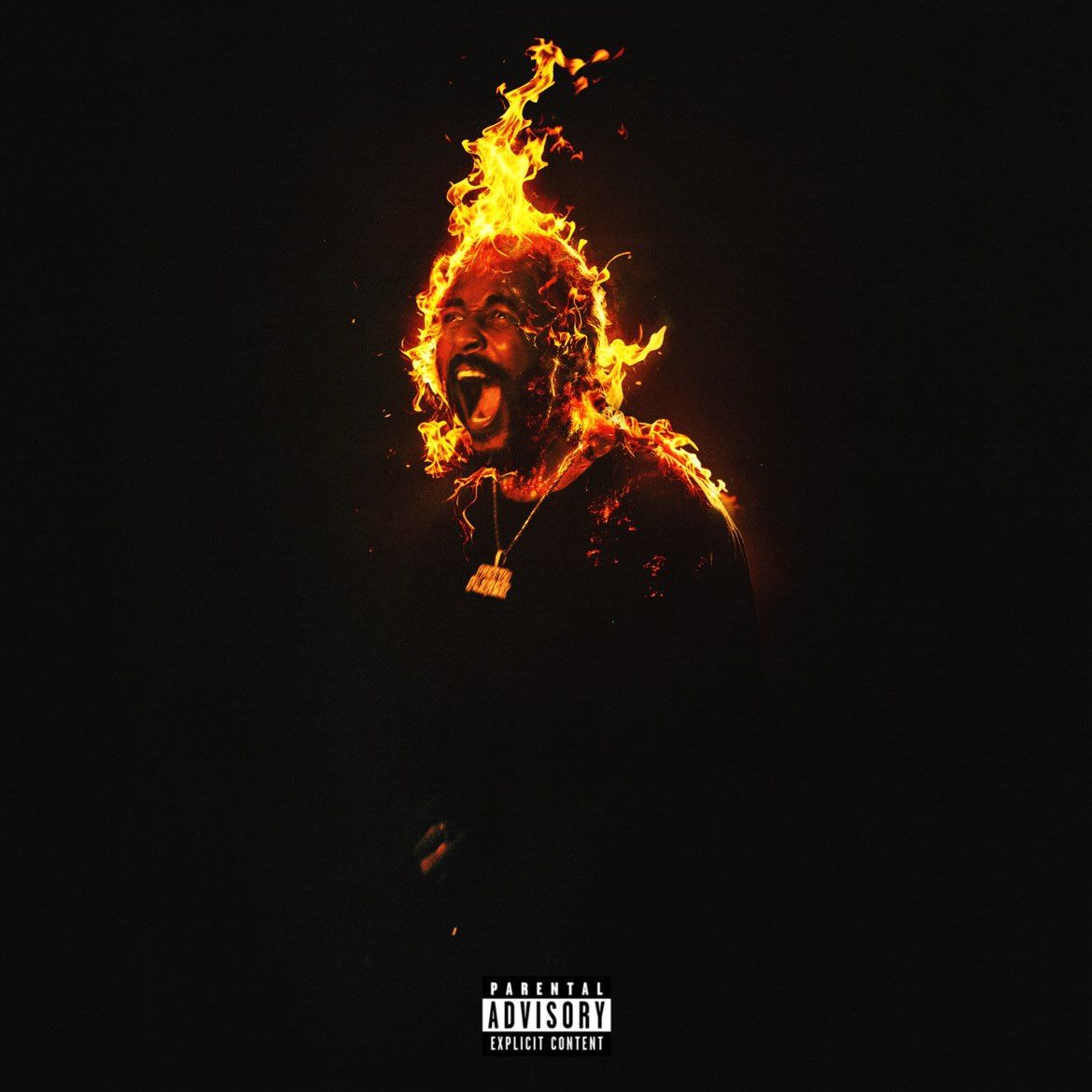 In The Fire
