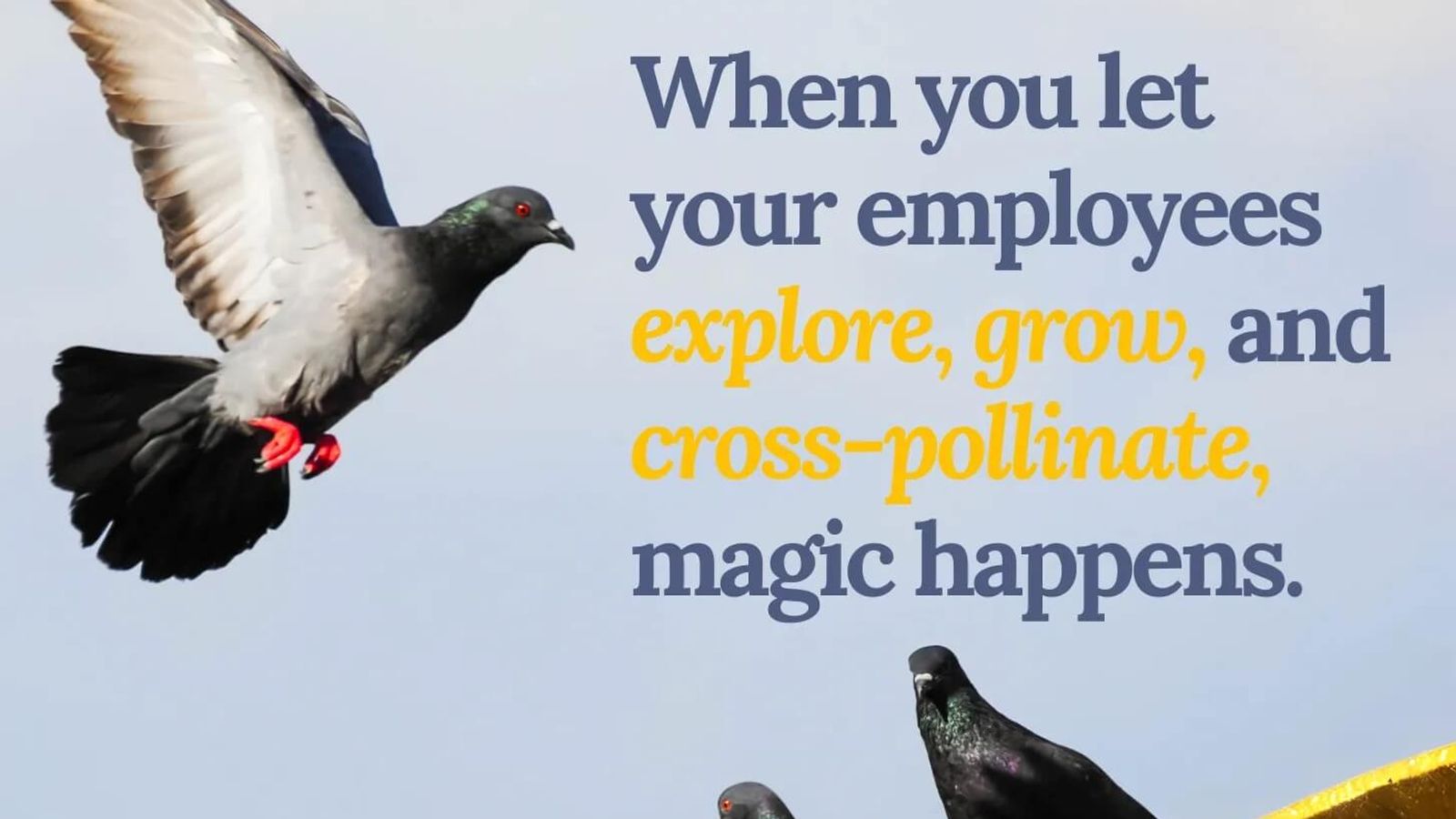 Pigeonholing Your People Is Holding You Back