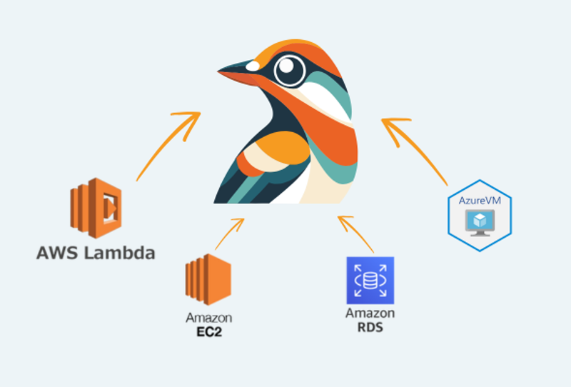Beakpoint Insights integrates with Amazon EC2, AWS Lambda, Amazon RDS, and Azure VM