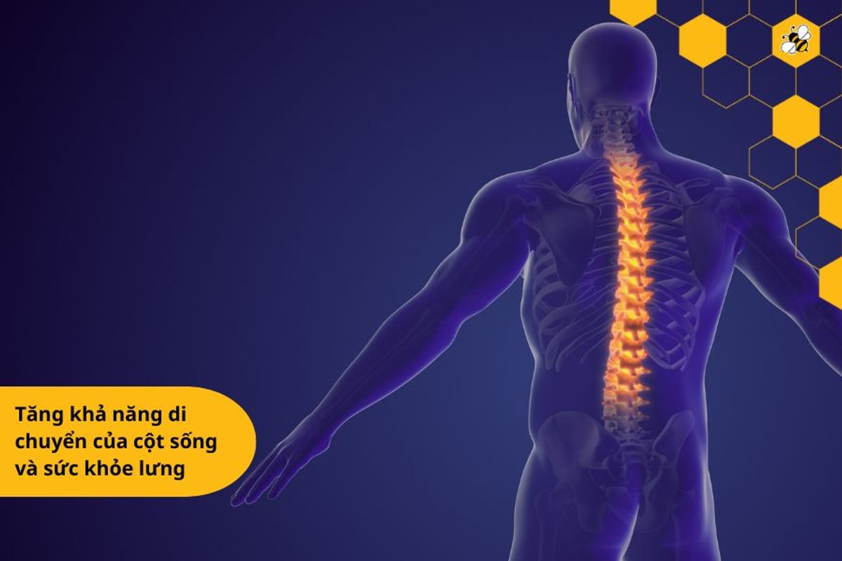 Tăng khả năng di chuyển của cột sống và sức khỏe lưng