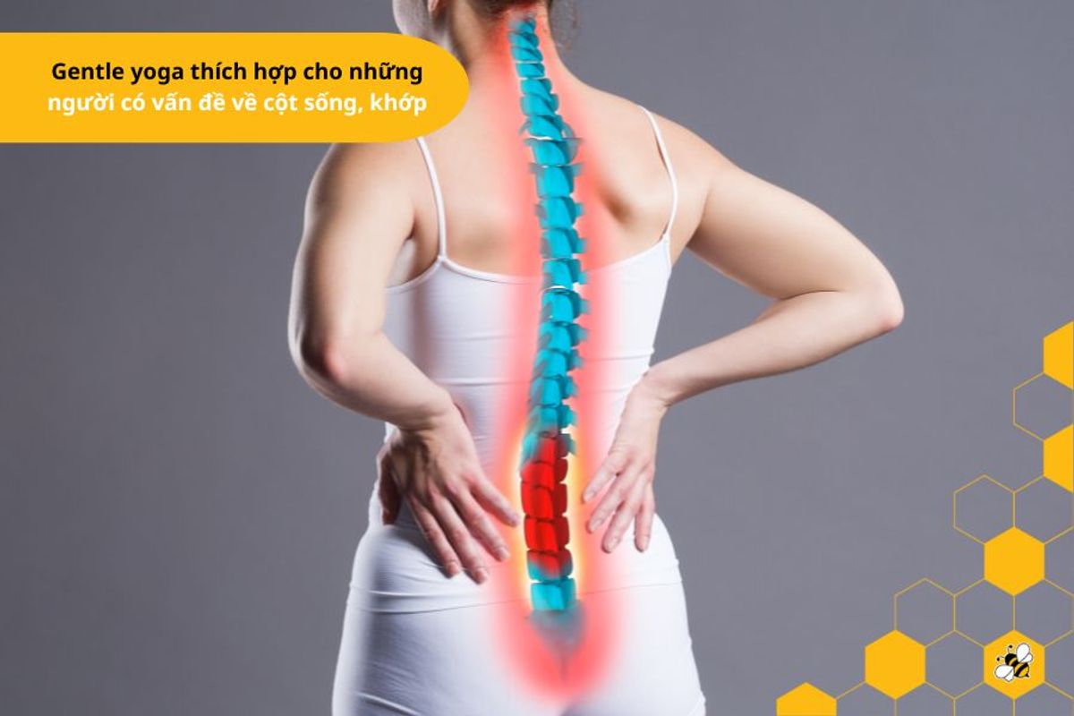 Gentle yoga thích hợp cho những người có vấn đề về cột sống, khớp