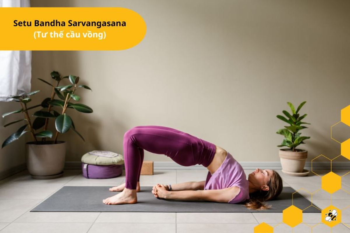 Setu Bandha Sarvangasana (Tư thế cầu vồng)