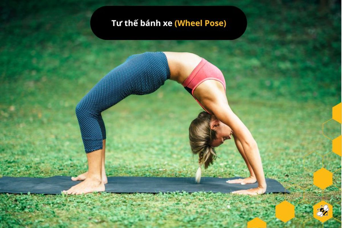 Tư thế bánh xe (Wheel Pose)