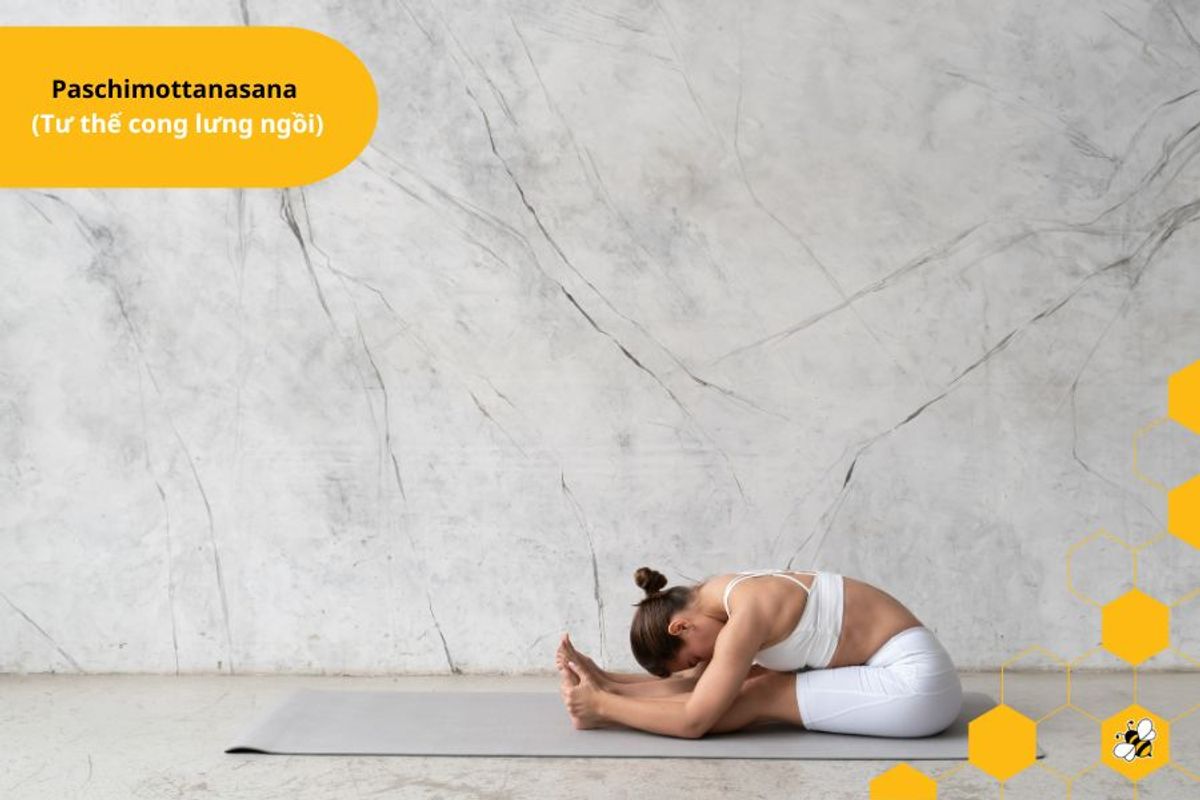 Paschimottanasana (Tư thế cong lưng ngồi)