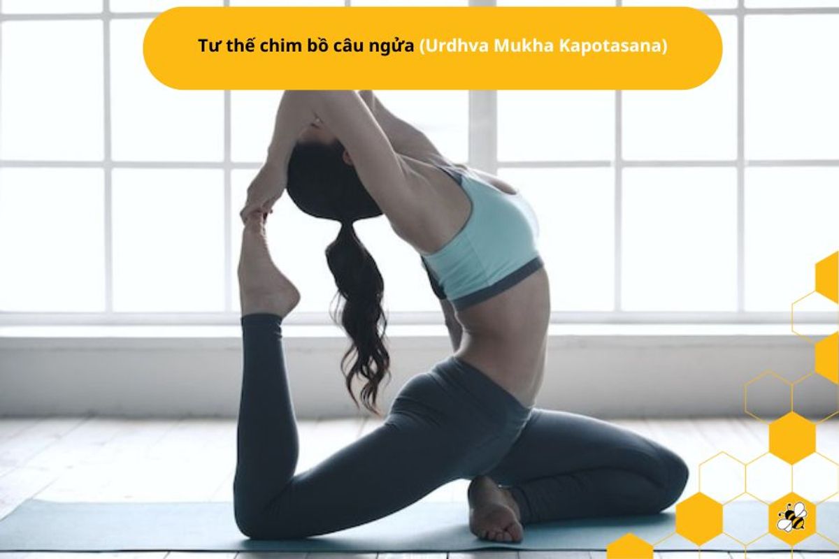 Tư thế chim bồ câu ngửa (Urdhva Mukha Kapotasana)