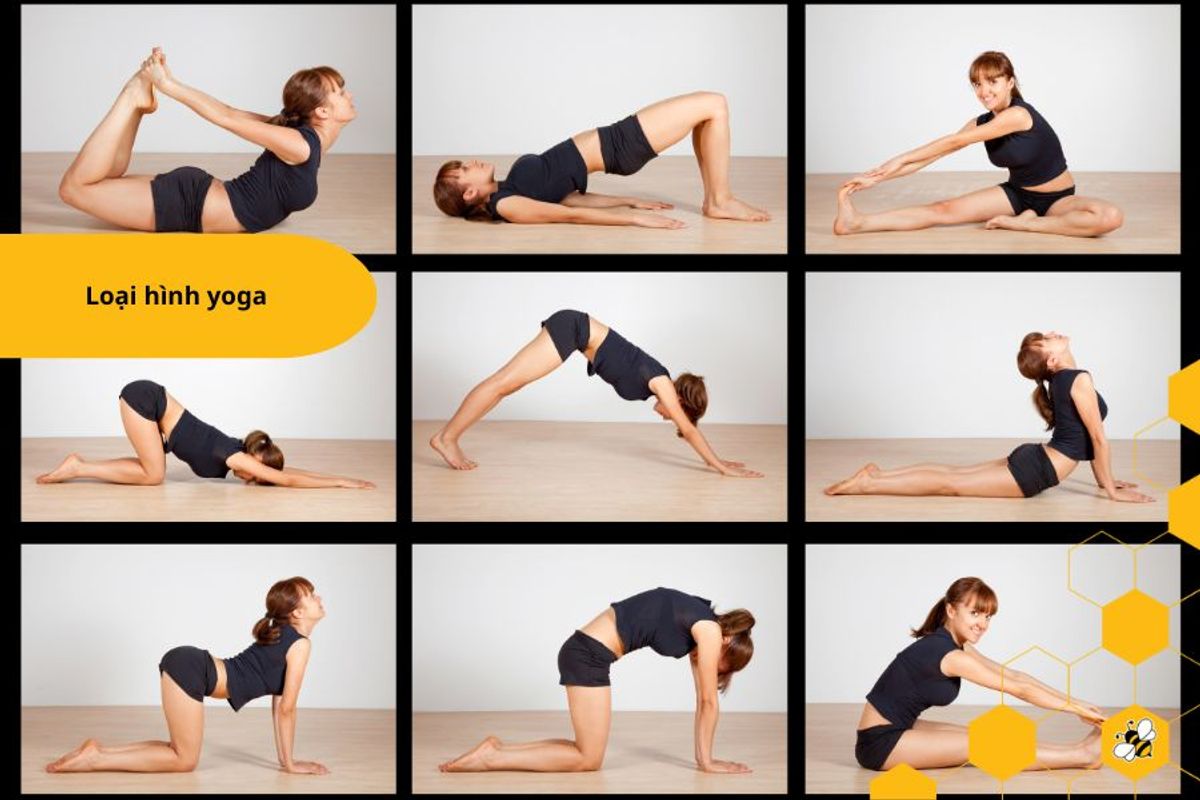 Loại hình yoga