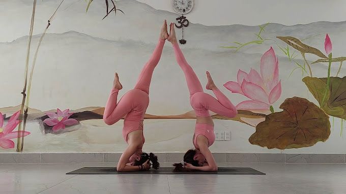 Tổ Kiến Yoga online