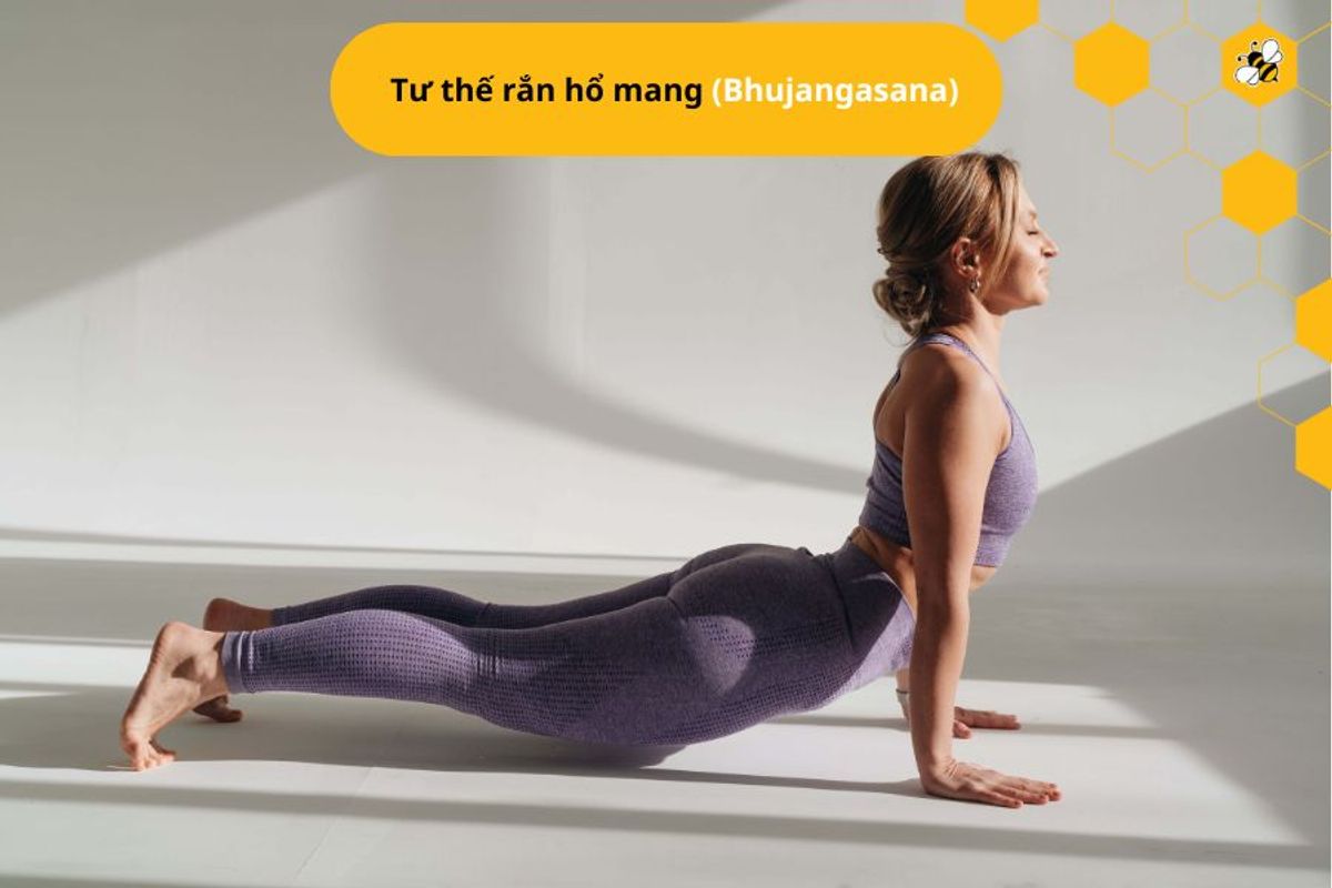 Tư thế rắn hổ mang (Bhujangasana)