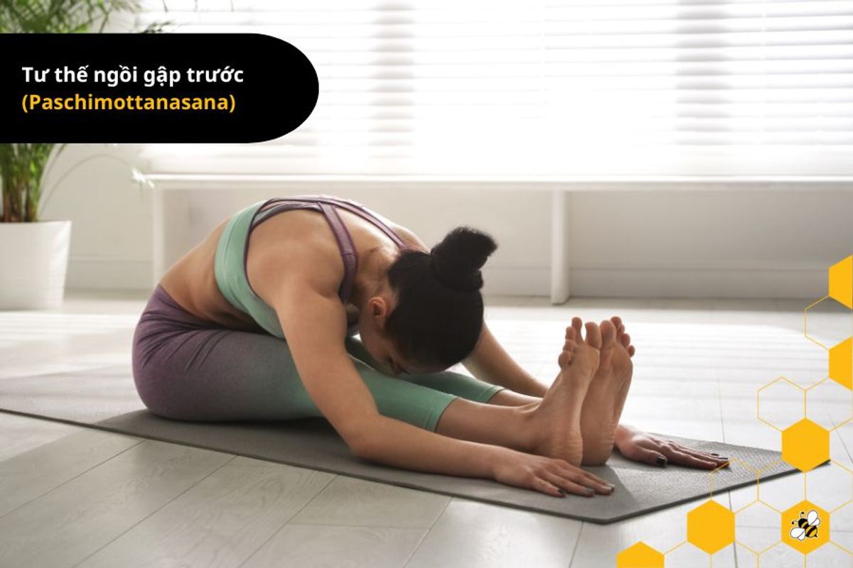 Tư thế ngồi gập trước (Paschimottanasana)