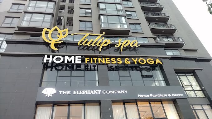 Home Fitness & Yoga