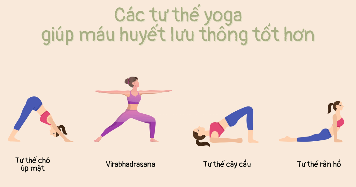 Các tư thế yoga giúp máu huyết lưu thông tốt hơn