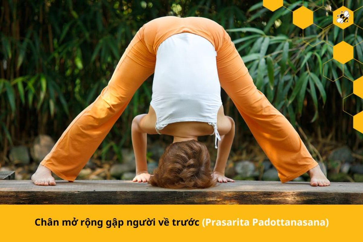 Chân mở rộng gập người về trước (Prasarita Padottanasana)