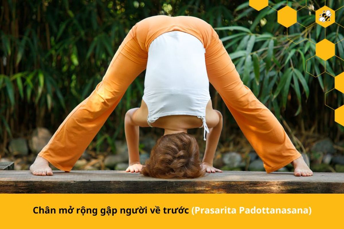 Chân mở rộng gập người về trước (Prasarita Padottanasana)