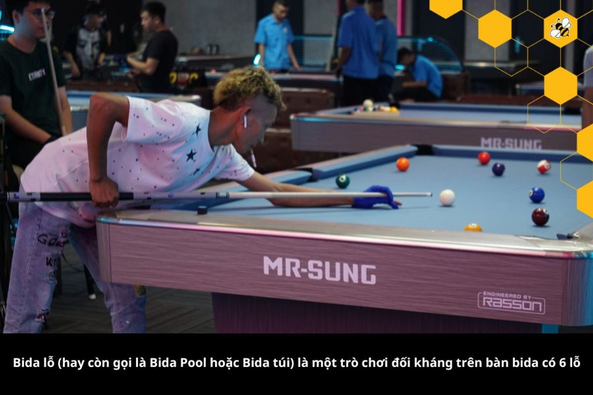 Bida lỗ (hay còn gọi là Bida Pool hoặc Bida túi) là một trò chơi đối kháng trên bàn bida có 6 lỗ