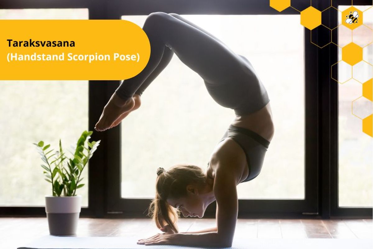 Taraksvasana (Handstand Scorpion Pose)