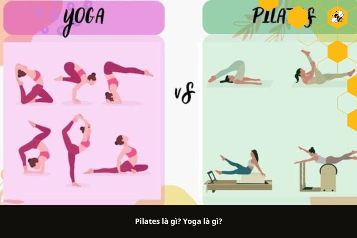 Pilates là gì? Yoga là gì?