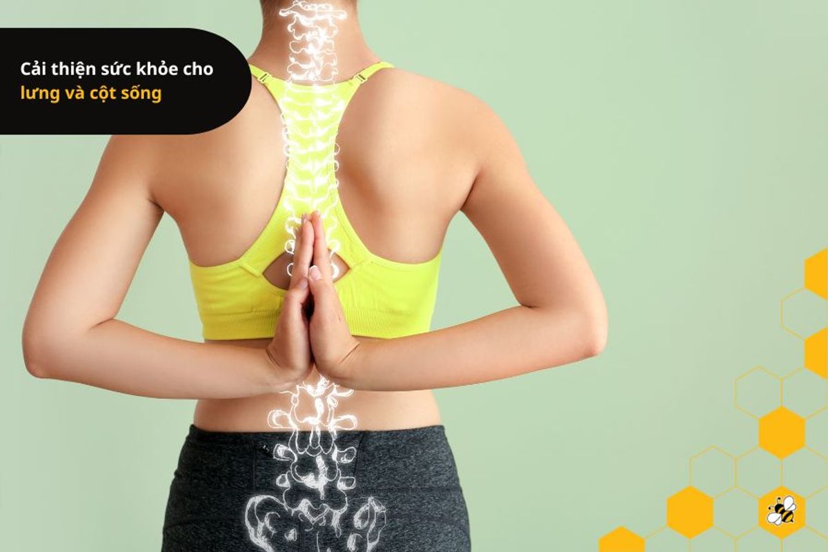 Cải thiện sức khỏe cho lưng và cột sống