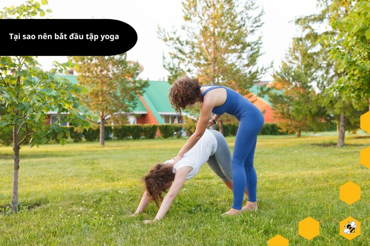 Tại sao nên bắt đầu tập yoga