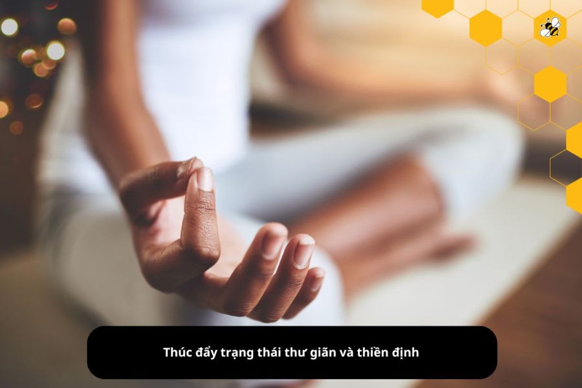 Thúc đẩy trạng thái thư giãn và thiền định