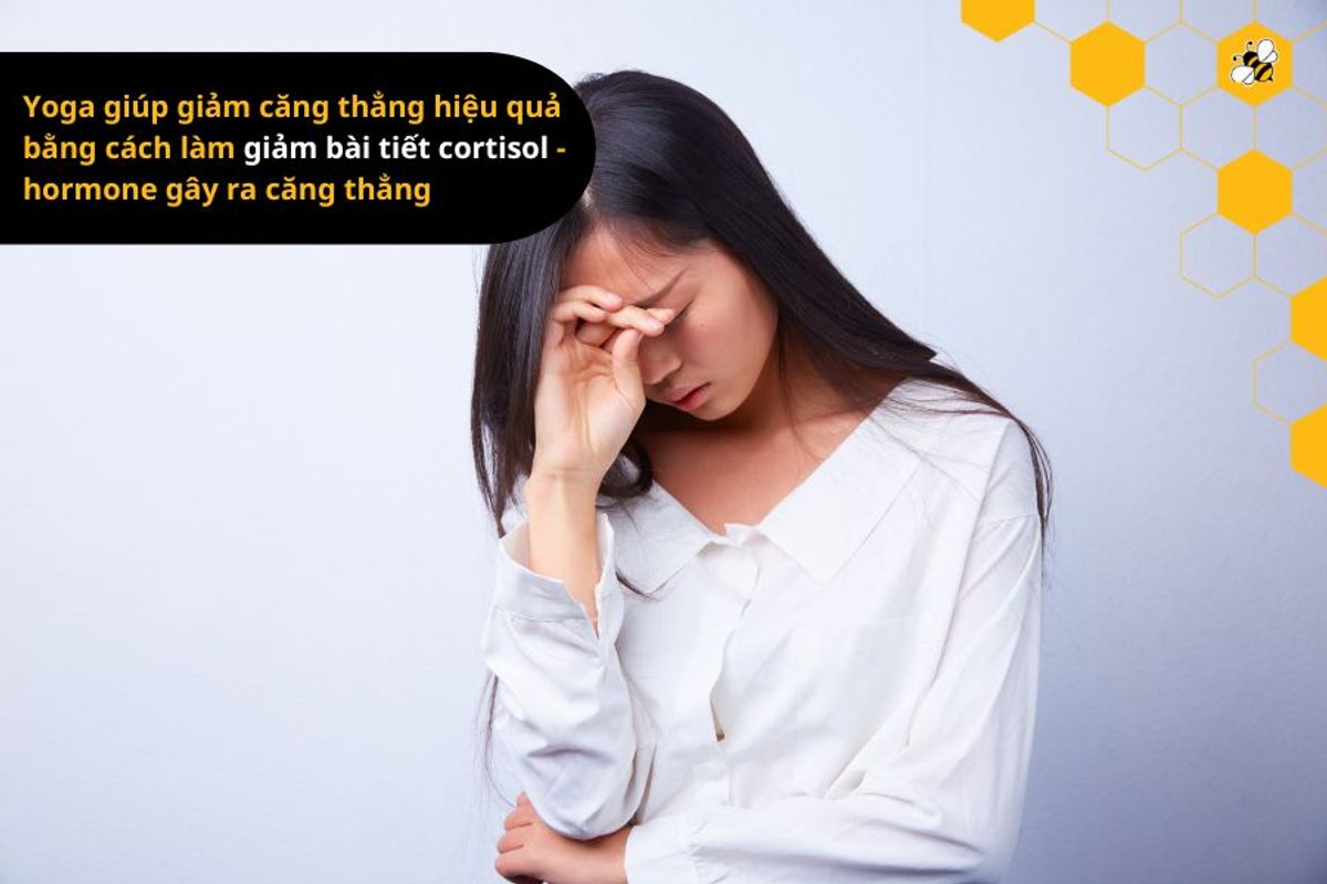 Yoga giúp giảm căng thẳng hiệu quả bằng cách làm giảm bài tiết cortisol - hormone gây ra căng thẳng