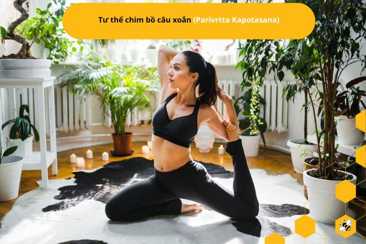 Tư thế chim bồ câu xoắn (Parivrtta Kapotasana)