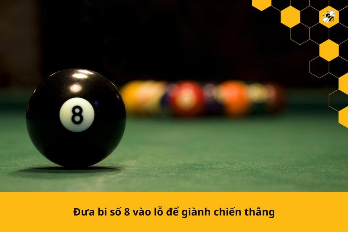 Bida lỗ sọc trơn