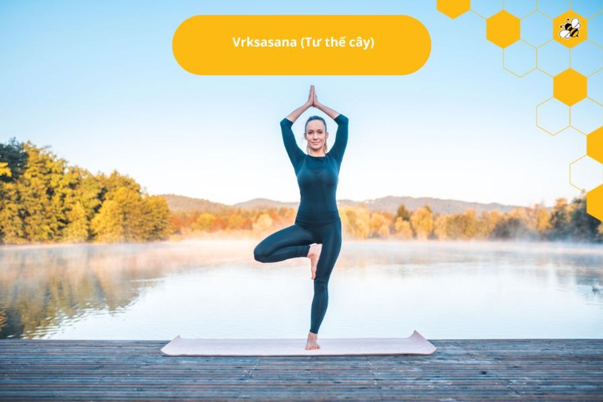 Vrksasana (Tư thế cây)