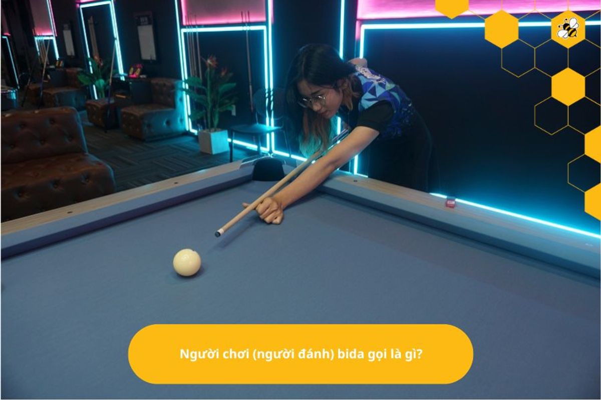 Người chơi (người đánh) bida gọi là gì?