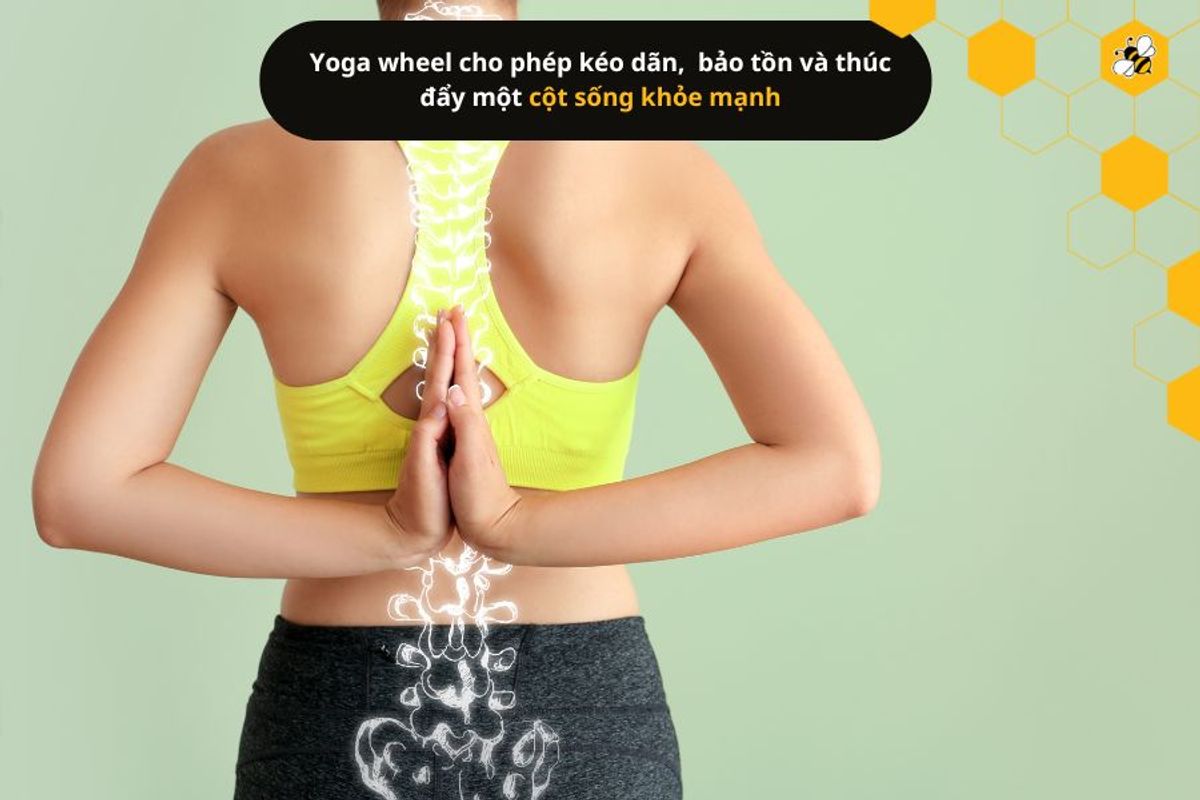 Vòng yoga cho phép kéo dãn,  bảo tồn và thúc đẩy một cột sống khỏe mạnh