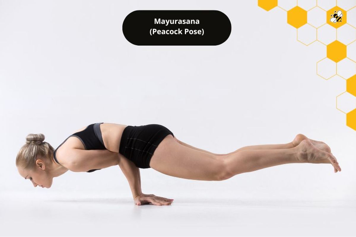 Mayurasana (Peacock Pose)