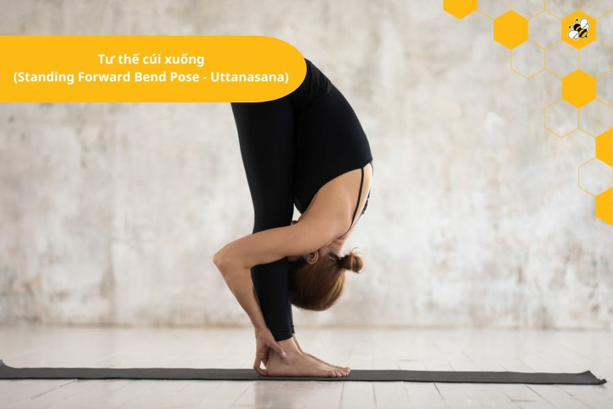 Tư thế cúi xuống (Standing Forward Bend Pose - Uttanasana)