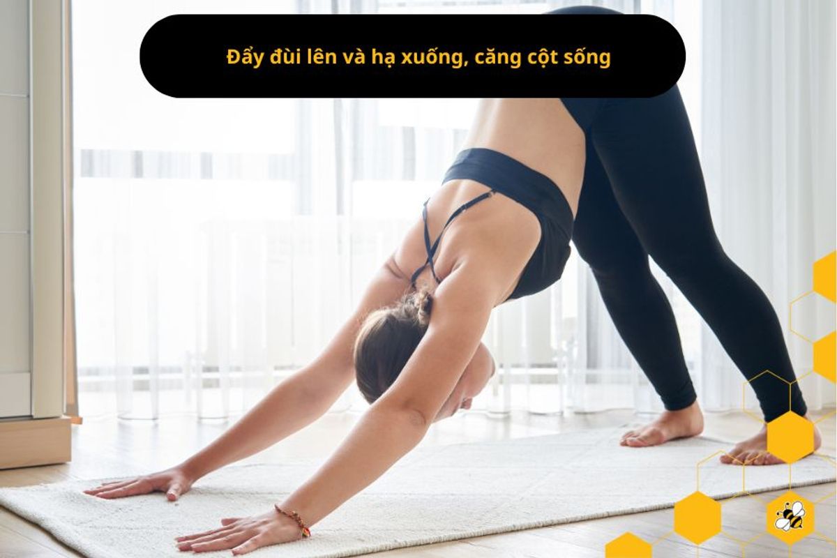 Đẩy đùi lên và hạ xuống, căng cột sống