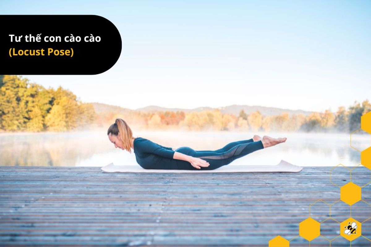 Tư thế con cào cào (Locust Pose)