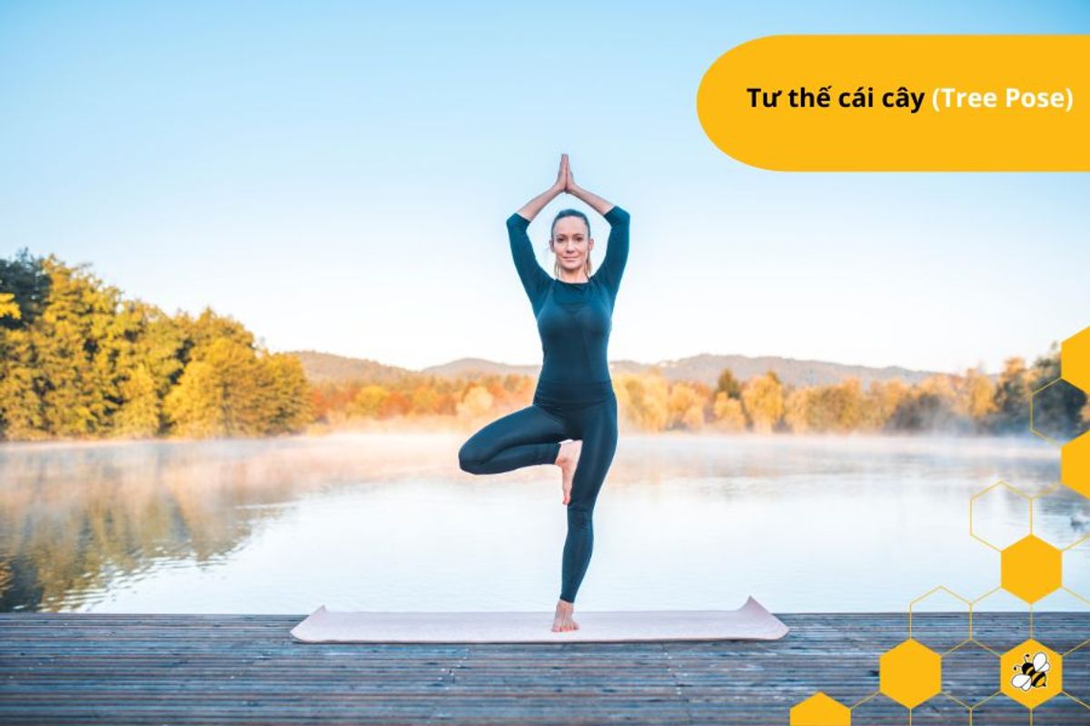 Tư thế cái cây (Tree Pose)