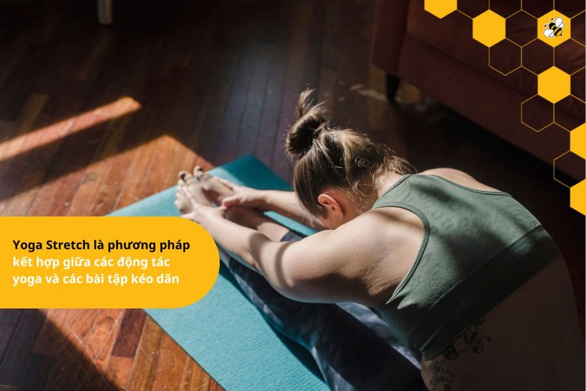 Yoga Stretch là phương pháp kết hợp giữa các động tác yoga và các bài tập kéo dãn