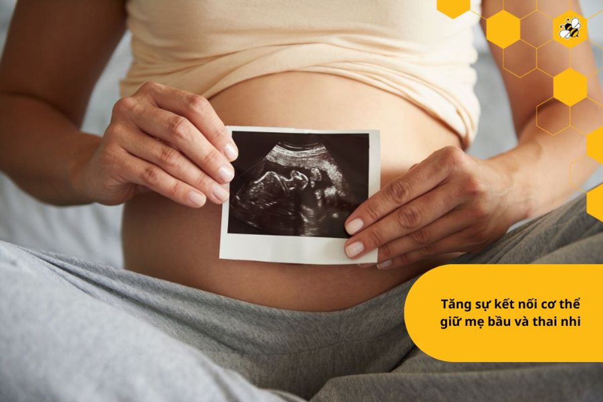 Tăng sự kết nối cơ thể giữ mẹ bầu và thai nhi