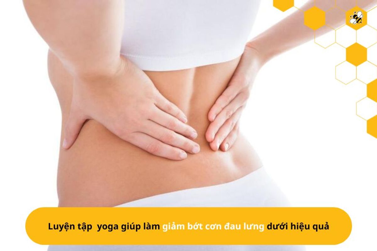 Luyện tập  yoga giúp làm giảm bớt cơn đau lưng dưới hiệu quả