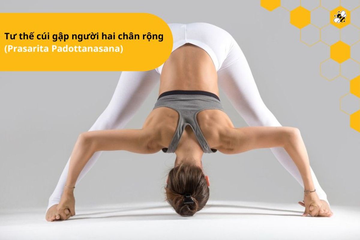 Tư thế cúi gập người hai chân rộng (Prasarita Padottanasana)