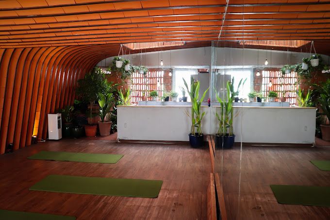 Cây Yoga and Healing