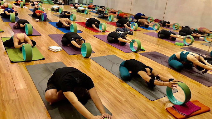 Yoga và Thiền Trái Tim Vàng Vĩnh Phúc