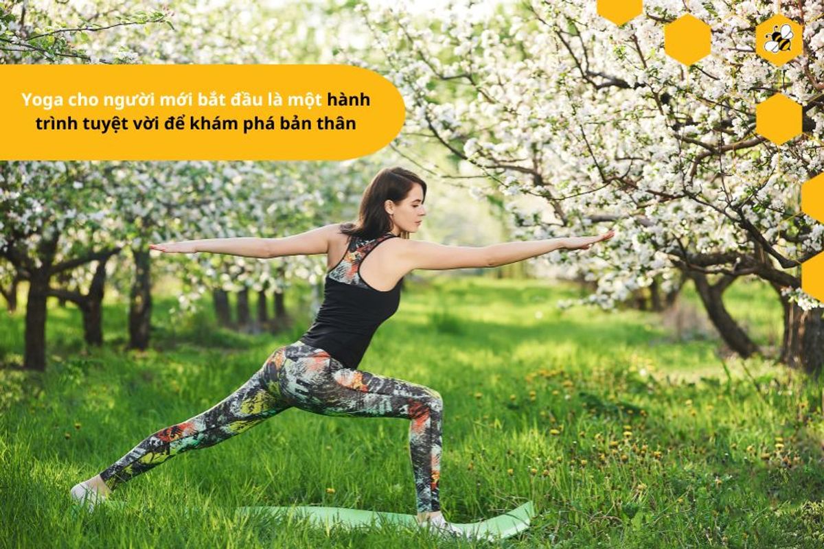 Yoga cho người mới bắt đầu là một hành trình tuyệt vời để khám phá bản thân